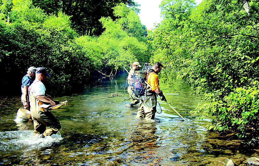Quemahoning outflow could soon support trout fishing, Archives