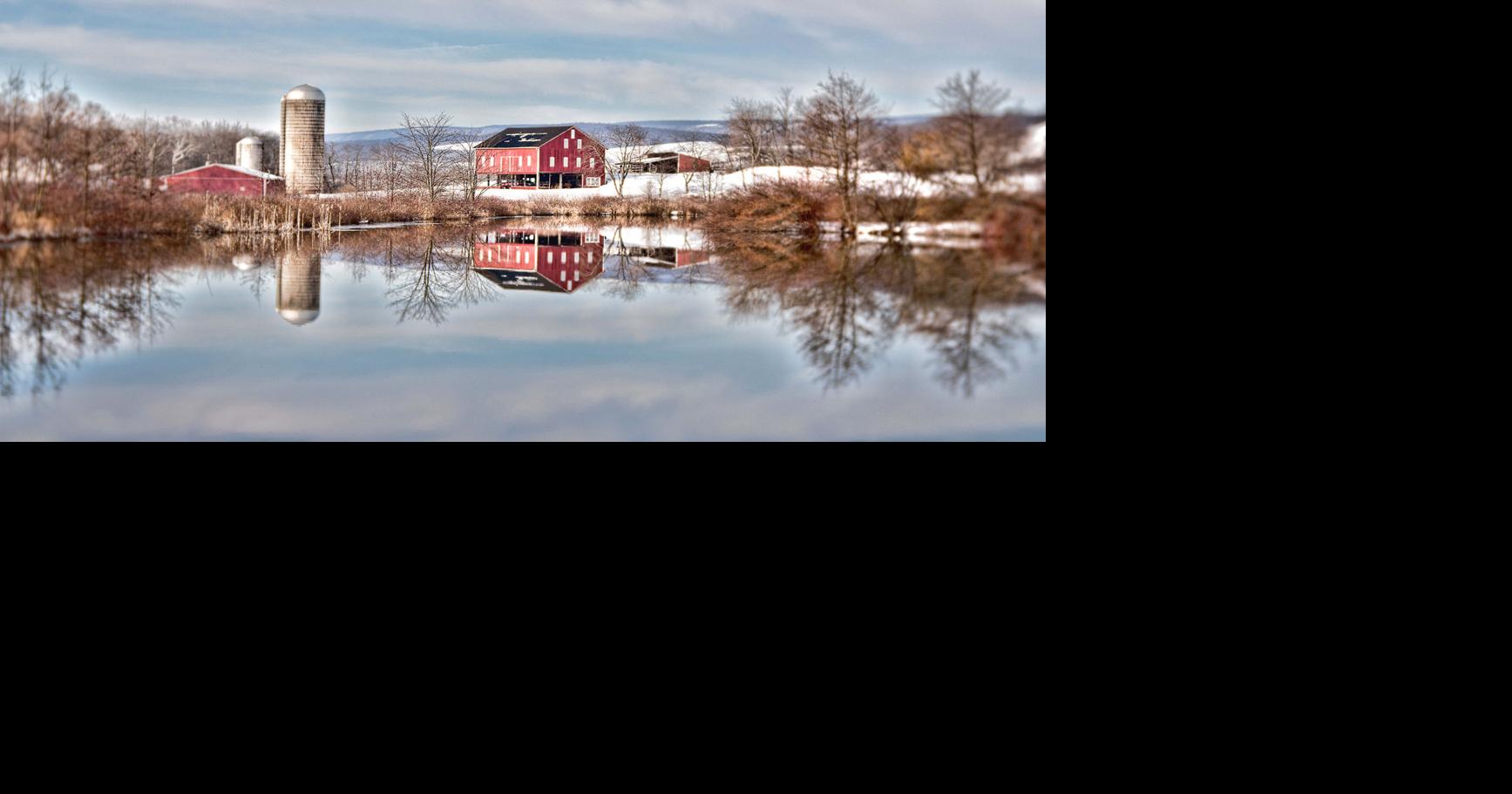 Picture This | Farm’s reflection catches judge’s eye in photo contest ...