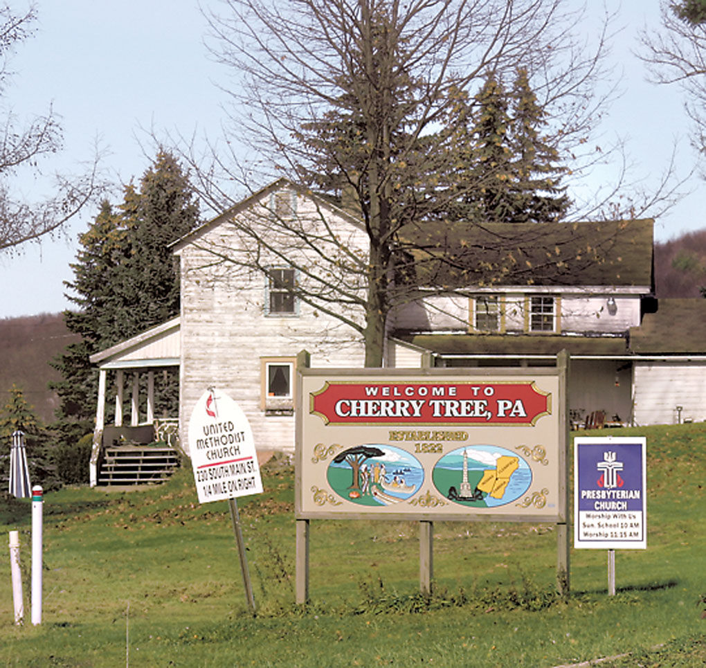 Proposal Aims For Gun In Every Home News Tribdem Com