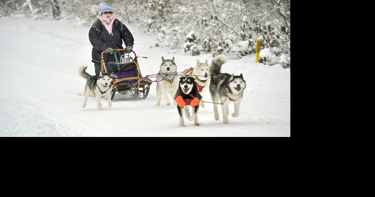 In The Spotlight | Snow dogs: Sled racing a lifestyle for local musher ...