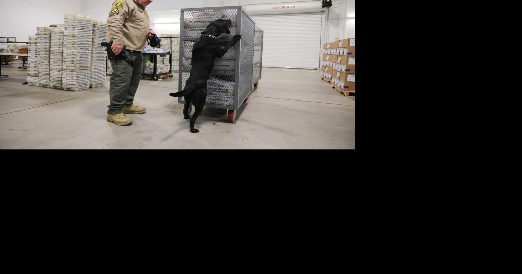 Big changes to the agency charged with securing elections bring midterm worries