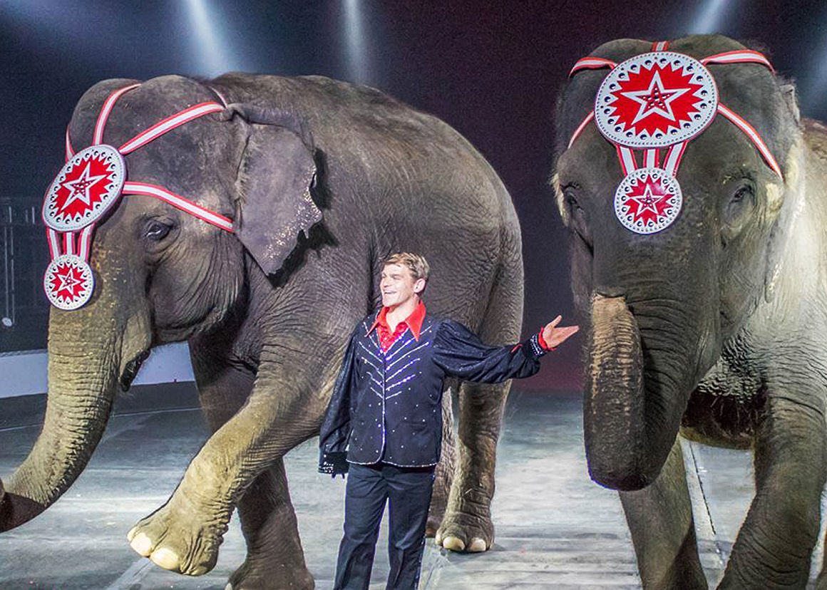 Circus To Bring A Well Rounded Experience To Arena News Tribdem Com