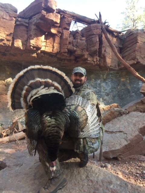 Travis Thompson AZ