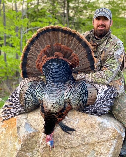 Travis Thompson New Hampshire