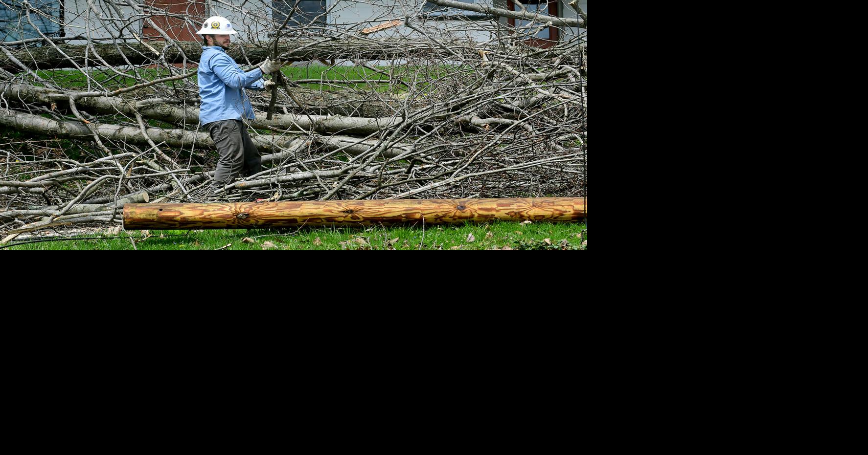 PHOTO GALLERY | Southern Somerset County cleaning up after windstorm ...