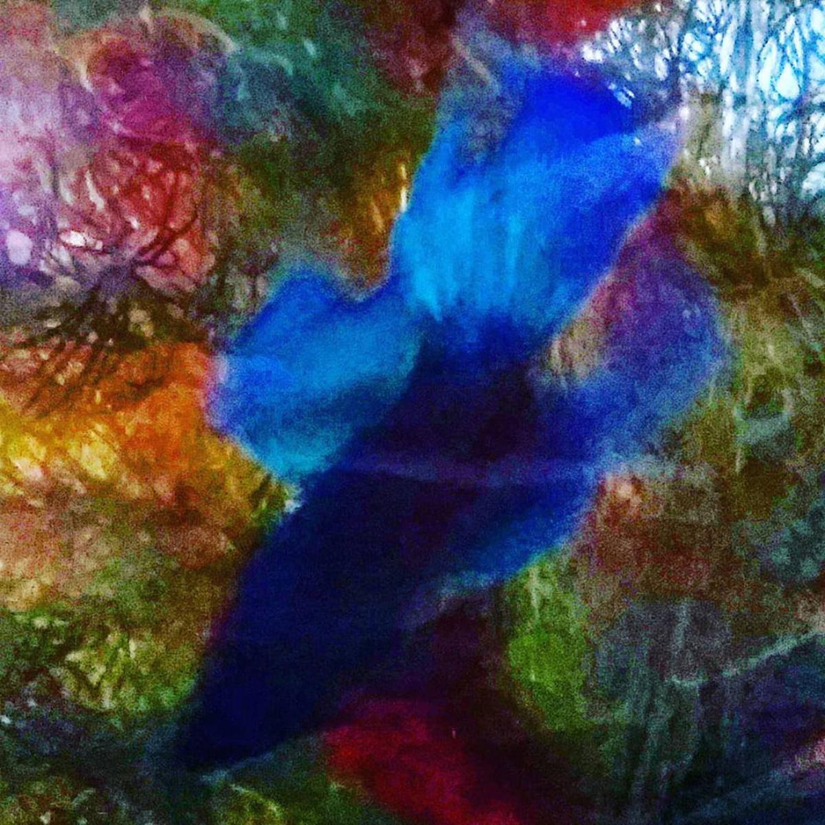 Picture This Animals March 12 2018 Gallery Tribdem Com