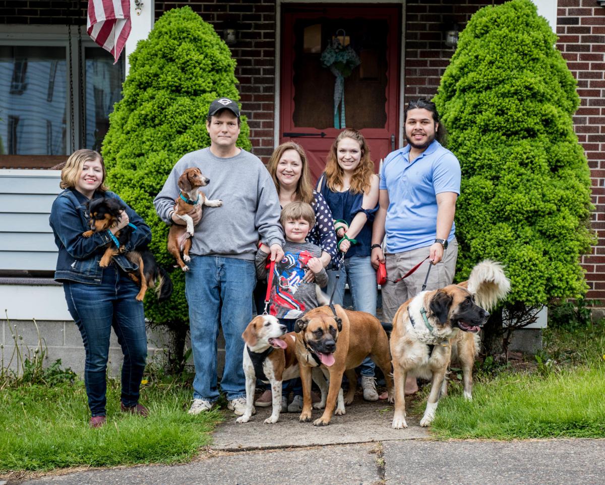 Boyle family