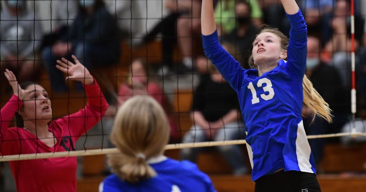 Birgit Thumm PHOTO GALLERY | North Star and Berlin battle in volleyball | Gallery ...