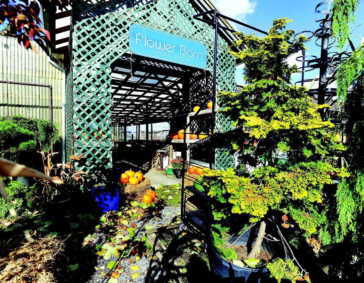 Still blooming Partnership will keep Flower Barn intact Archives