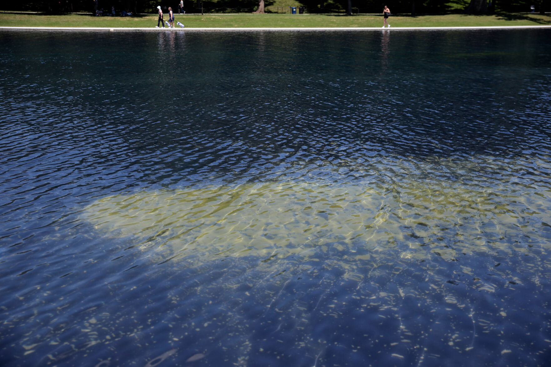 Reflecting Pool liner was cut with a sharp knife or razor