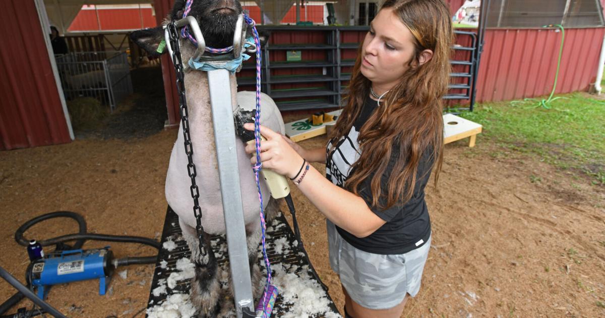 American Legion County Fair continues through Saturday in Ebensburg
