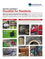Spotted Lanternfly Checklist for Residents