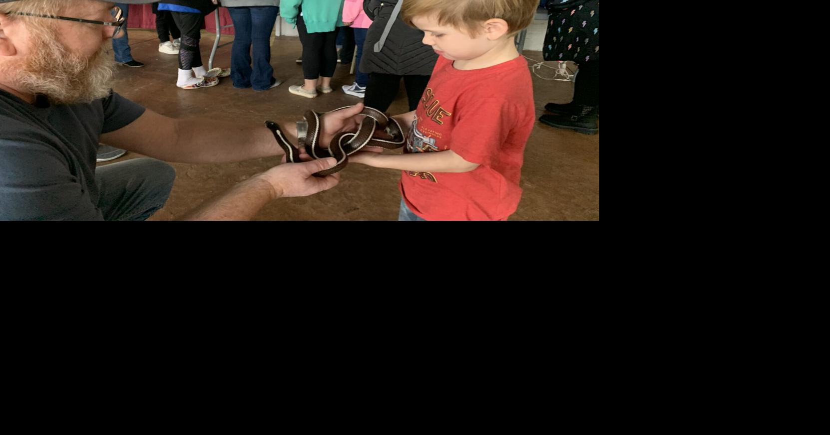 Reptiles exhibited at Saturday’s Bottle Works event in Cambria City | Latest News
