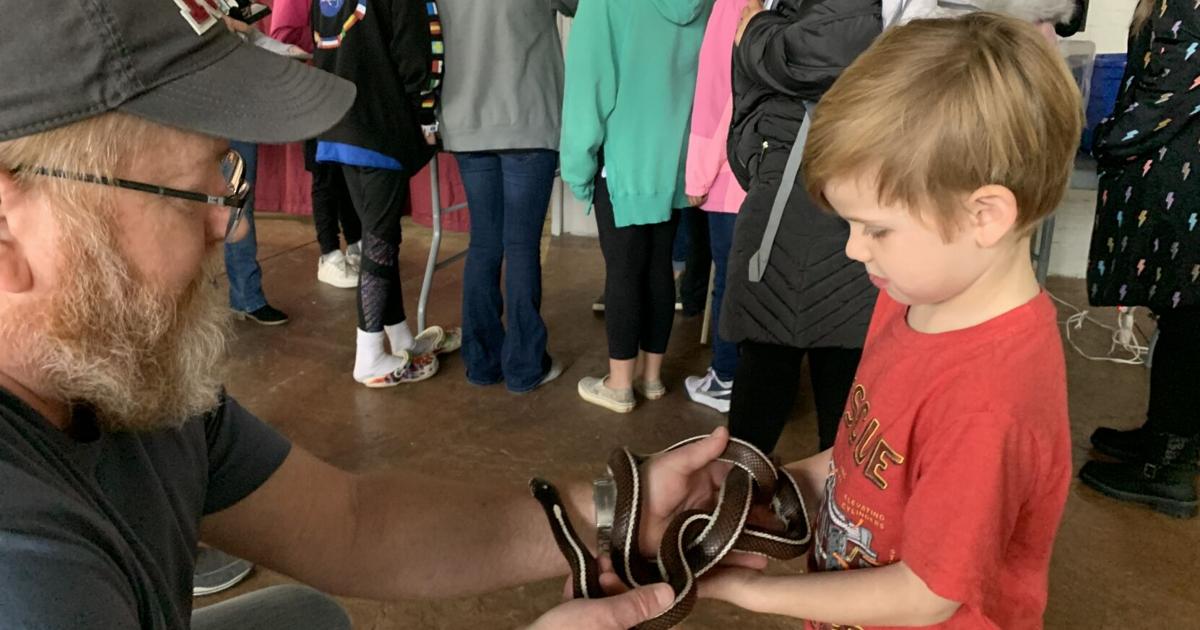Reptiles exhibited at Saturday’s Bottle Works event in Cambria City | Latest News Reptiles exhibited at Saturday’s Bottle Works event in Cambria City | Latest News