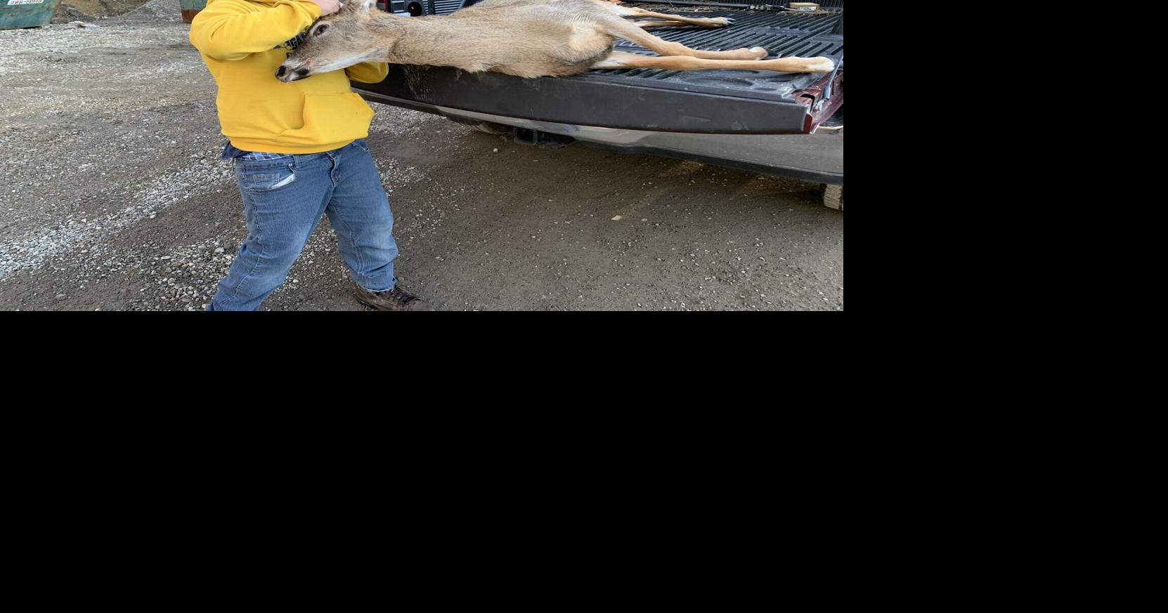 Deer processors expect fruitful season as hunters hit the woods News