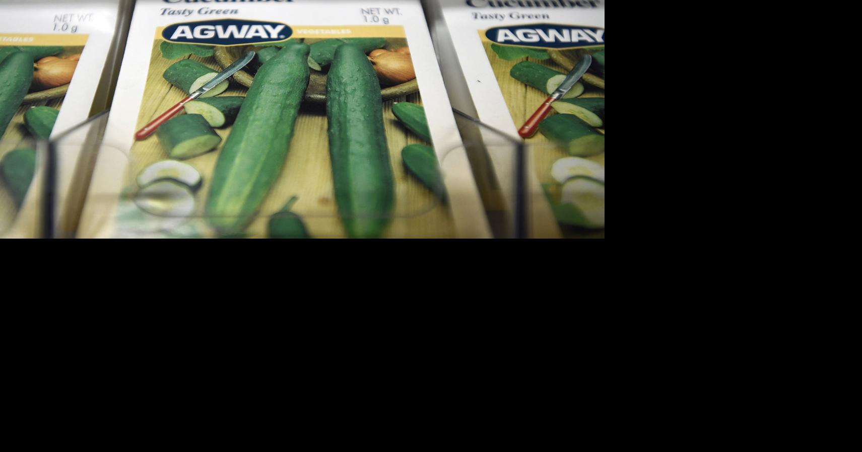 cucumber seed packet