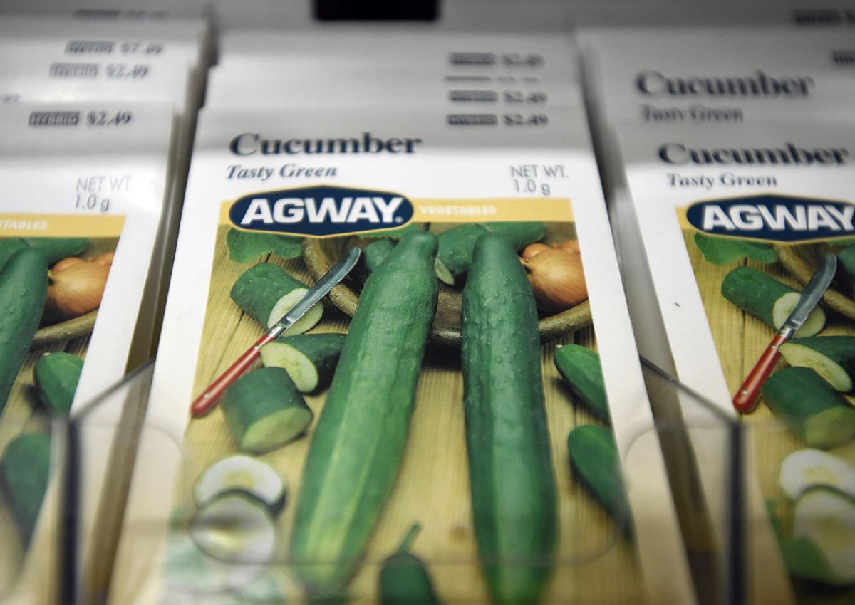 'Everybody has decided to garden this year' Surge of interest in