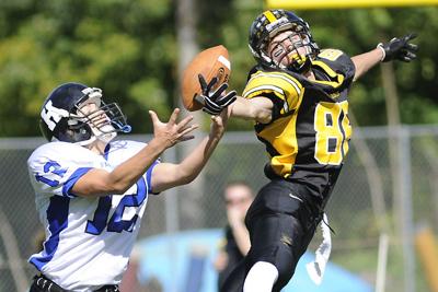 ferndale_defense