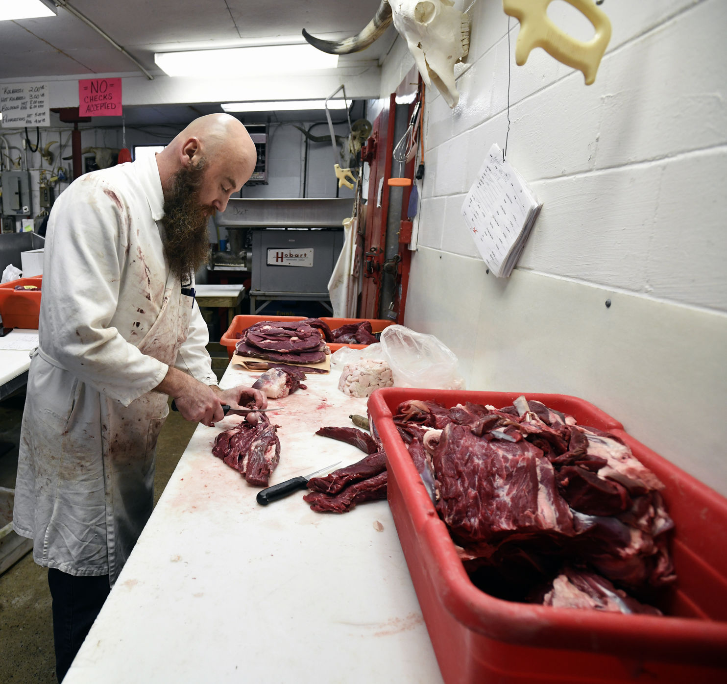 processing deer