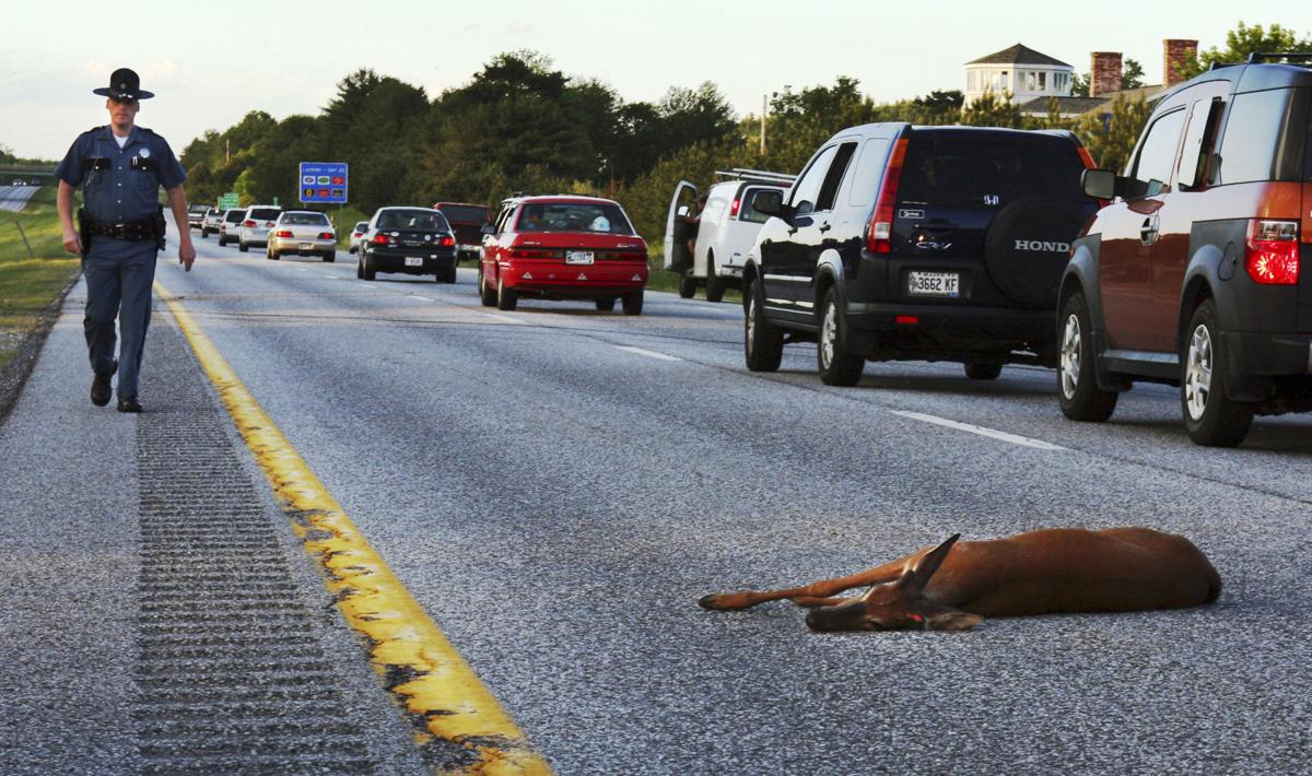 Oregon joins Pennsylvania, other states where roadkill can be harvested