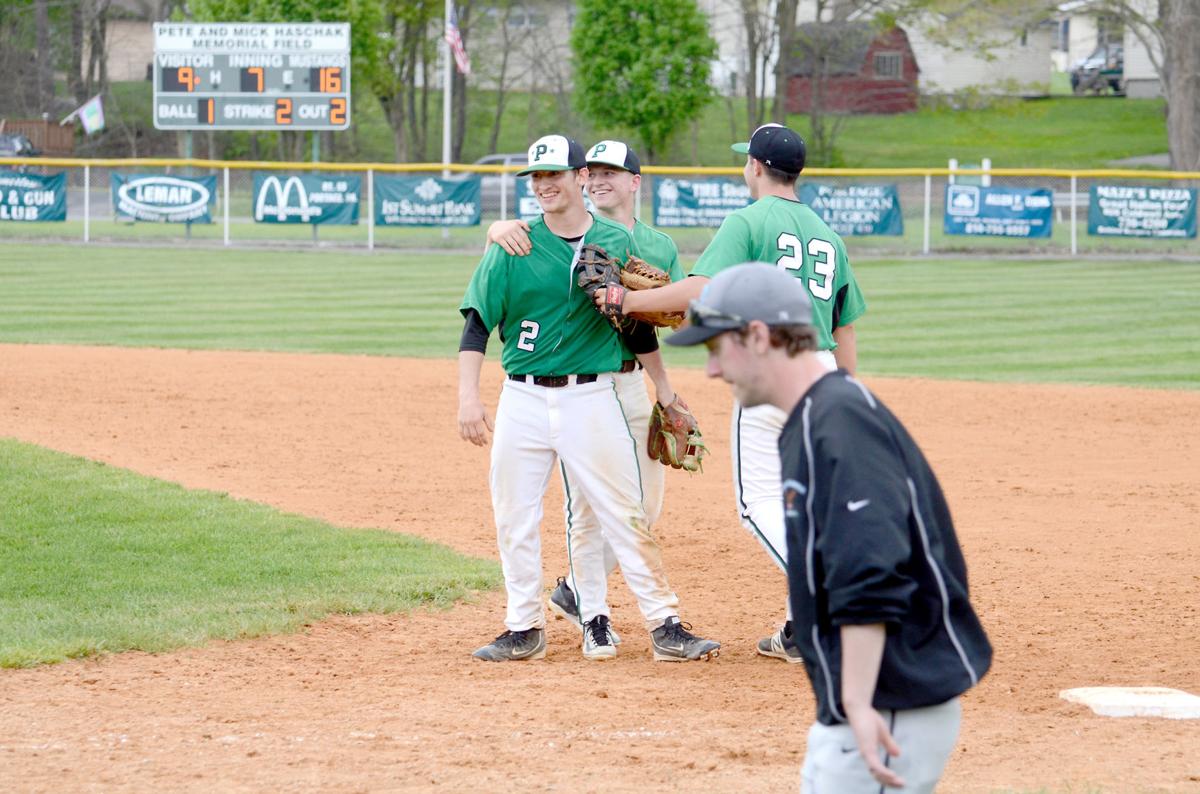 Portage beats Penn Cambria for baseball title Sports