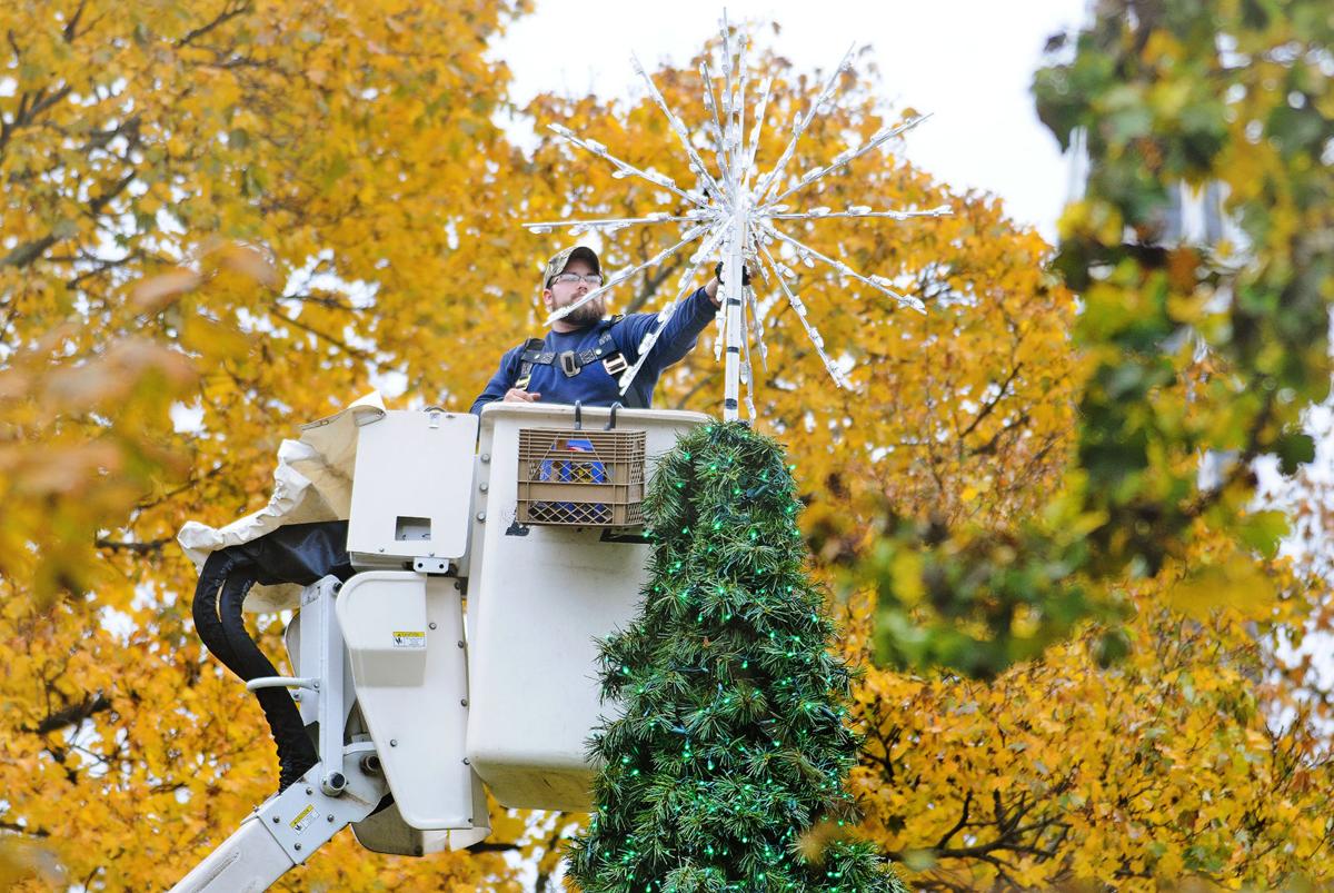 Johnstown's Central Park tree is back News