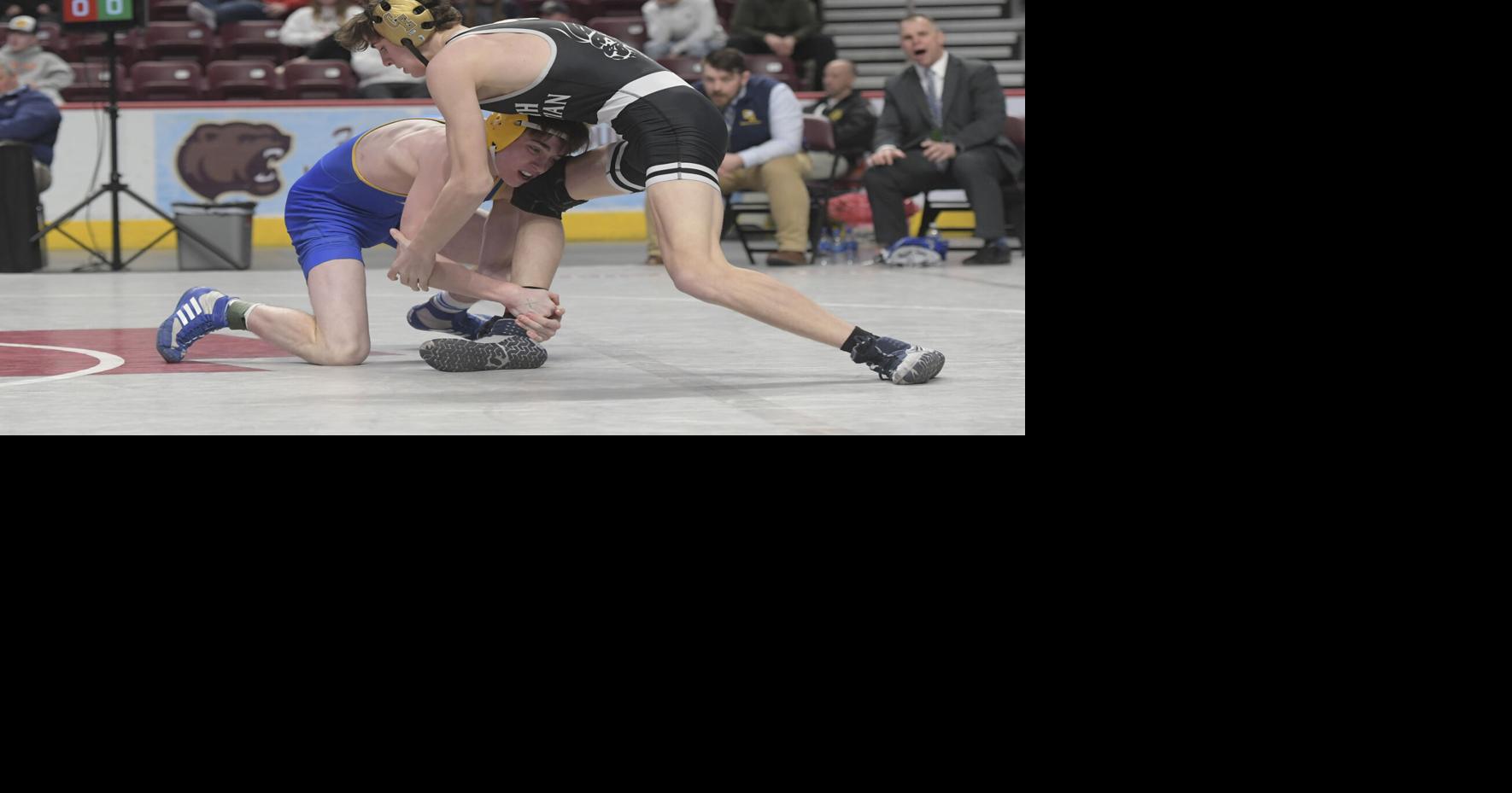 Chestnut Ridge's Bollman finishes in fifth place to lead three other ...