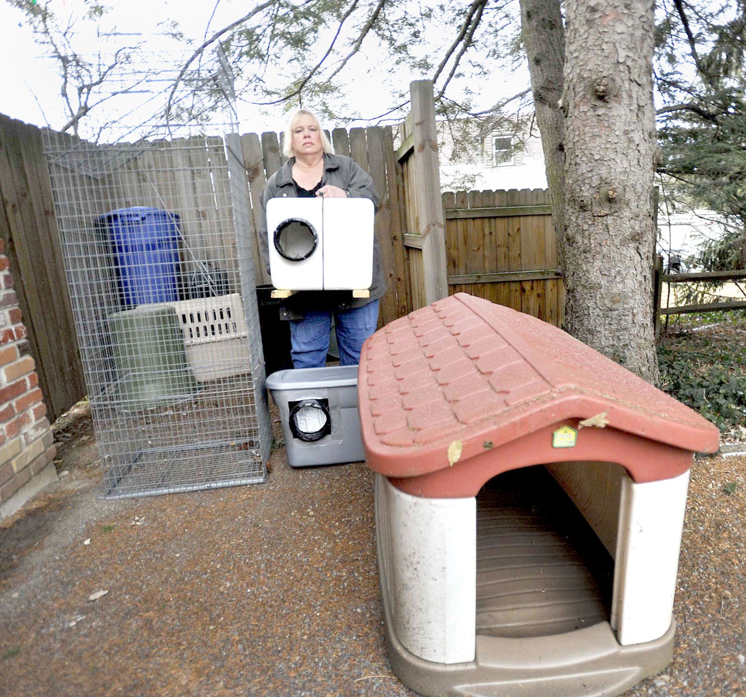 Animal rescue group offering cat shelters Local News tribdem