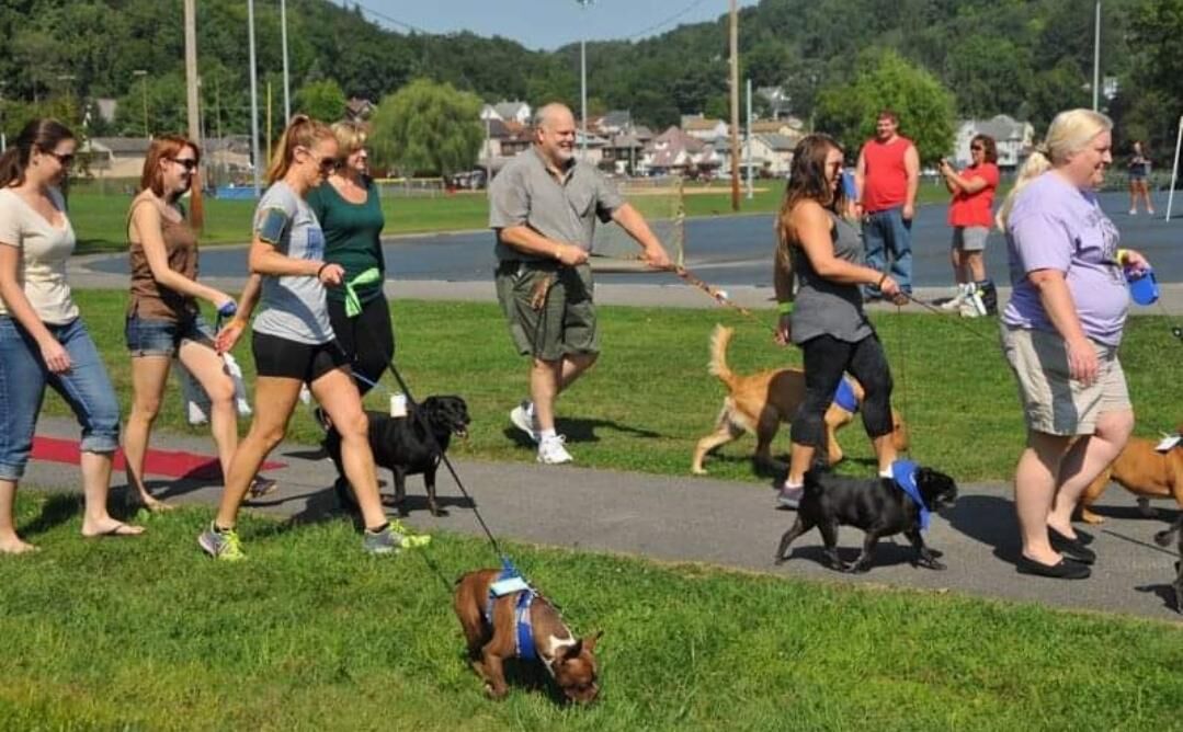 Henderson's Bark in the Park –