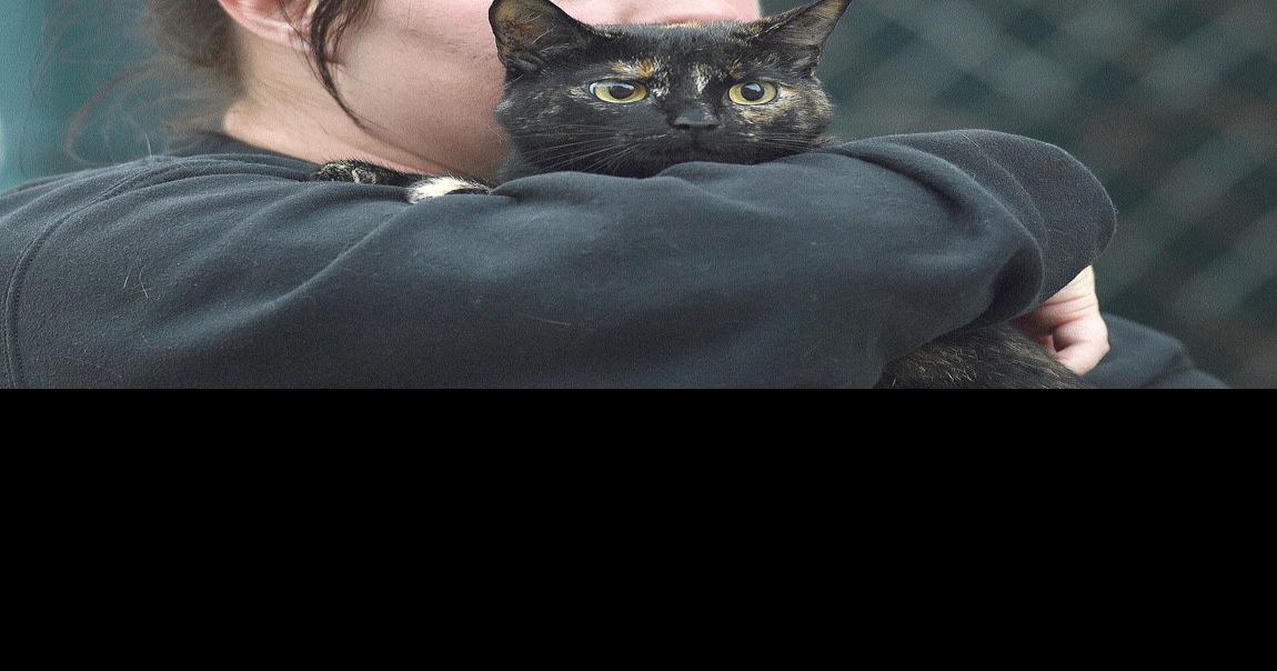 Several departments respond to Gallitzin fire News