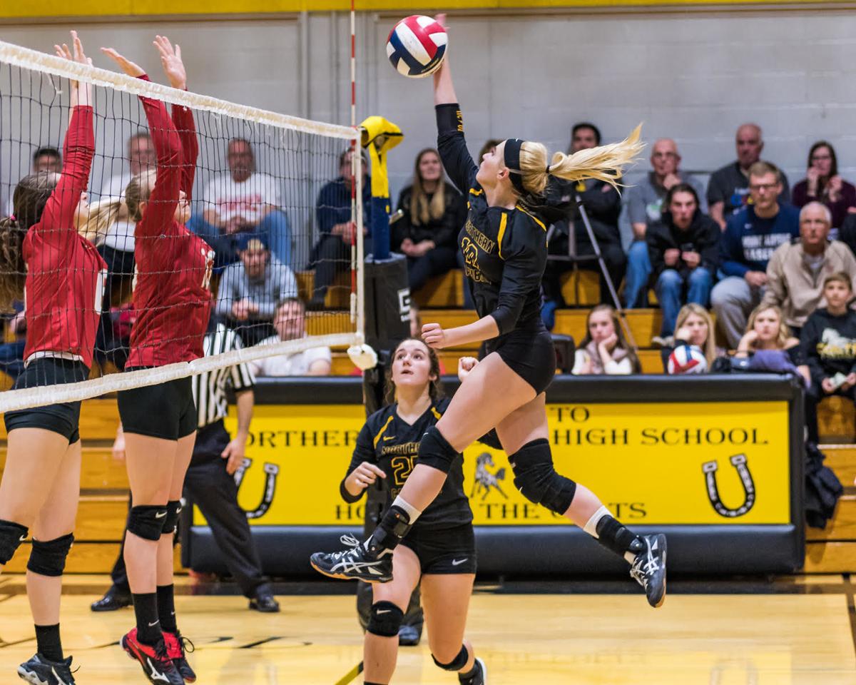 Northern Cambria, Berlin Brothersvalley to battle for state volleyball