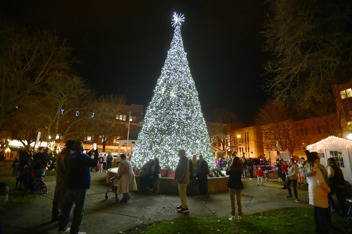 Johnstown central park christmas tree 2021