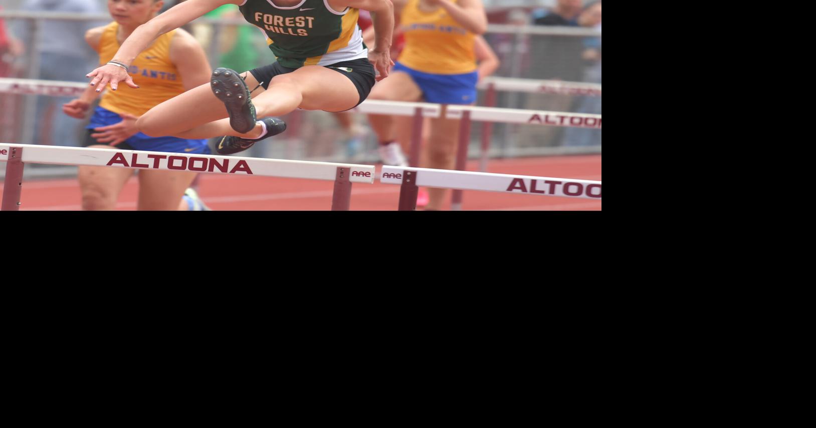 Bedford boys, Forest Hills girls earn team titles at Northern Bedford ...