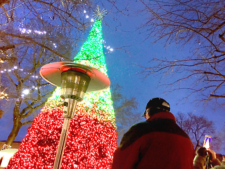 Central Park Christmas tree goes dark after ‘wonderful season’ News