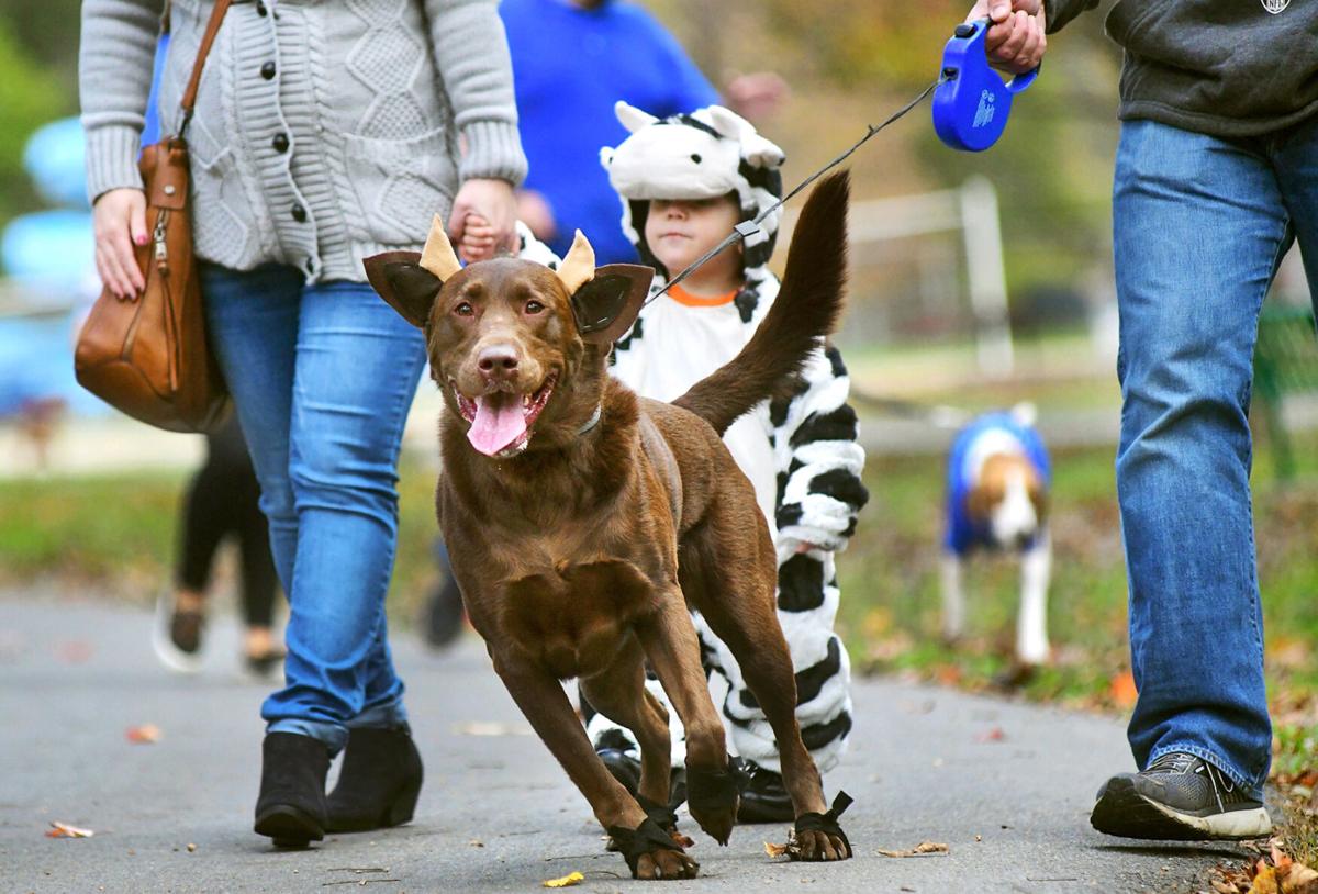 Pet Trick or Treat | Windber Recreation Park (Windber, Pa.)