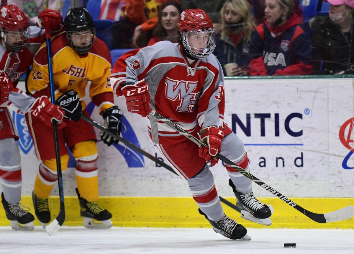 PHOTO GALLERY | Scholastic roundup | Westmont Hilltop hockey team  dispatches Wheeling Park | Sports | tribdem.com