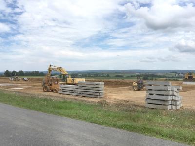 Pig Farm At Root Of Somerset County Controversy News Tribdem Com