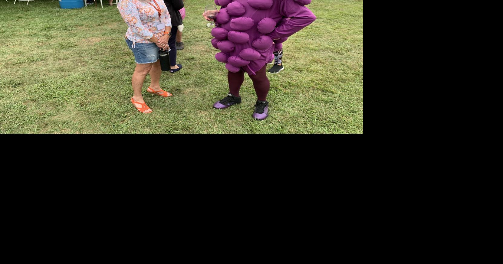 Sandyvale Wine Festival draws crowds from all over to sample ...