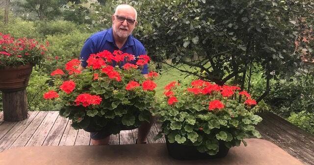 Garden Club of Johnstown to showcase plants in 'America: From Sea to Shining Sea'