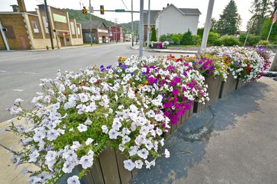 West End flowers