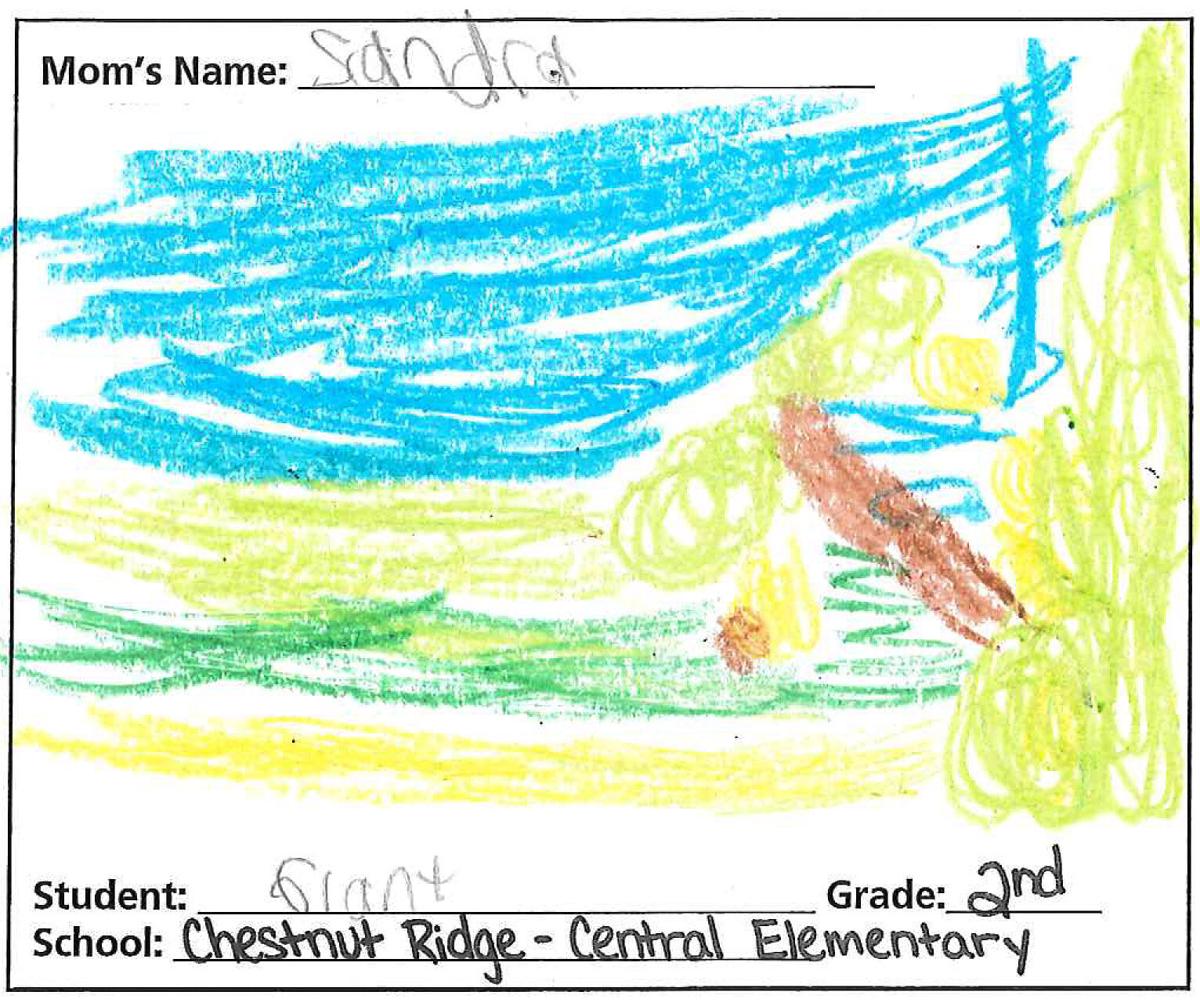 GRANT | CHESTNUT RIDGE - CENTRAL | 2nd GRADE.jpg