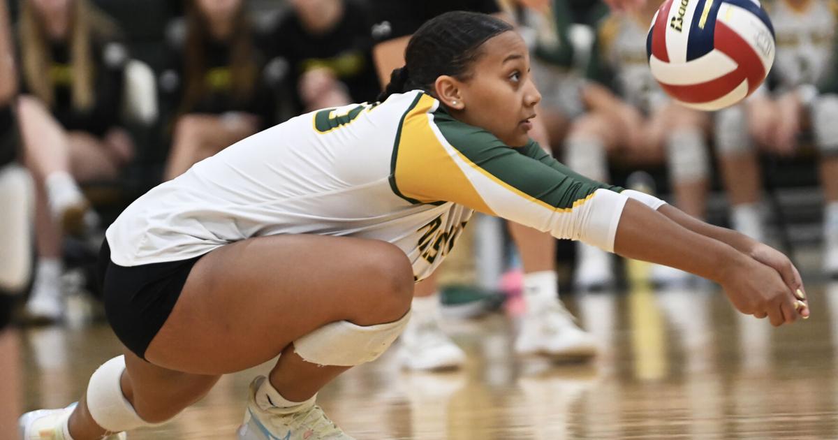 PHOTO GALLERY | Scholastic volleyball/cross country/soccer/hockey ...