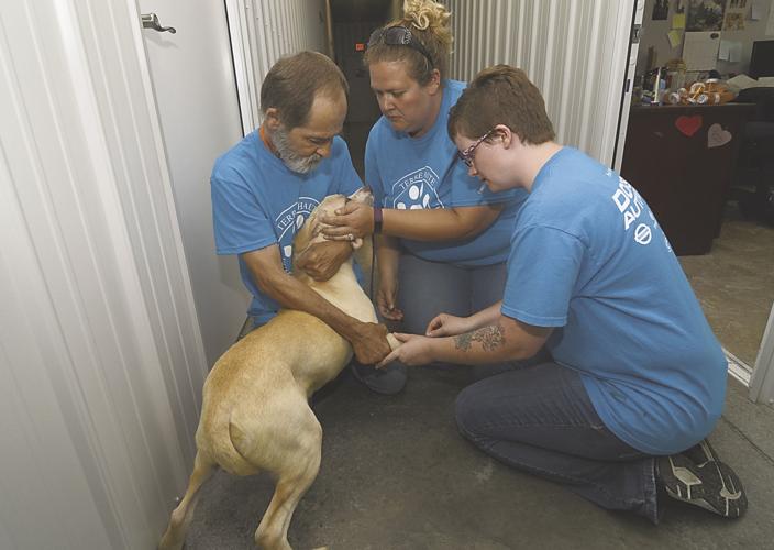 Terre Haute Humane Society takes in 39 dogs Local News