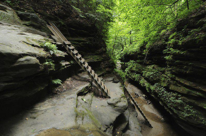 When It Comes To State Parks Hoosiers Talk Turkey Run Indiana News Tribstarcom When It Comes To State Parks Hoosiers Talk Turkey Run Indiana News Tribstarcom