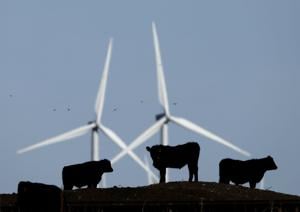 As Indiana's energy demands soar, more counties block solar, wind projects