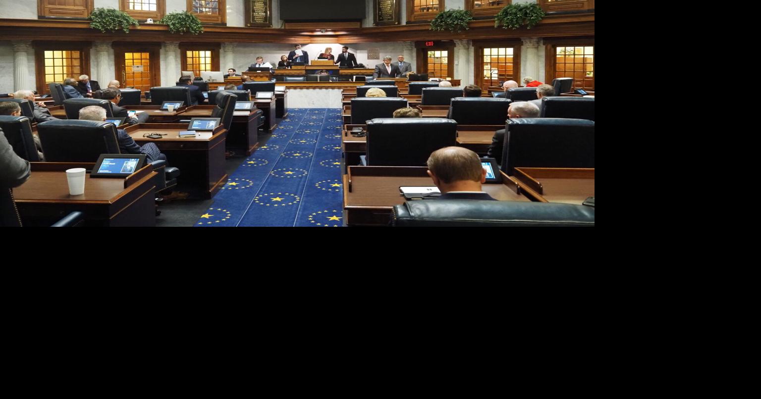 Indiana Senate likely to stay heavily GOP