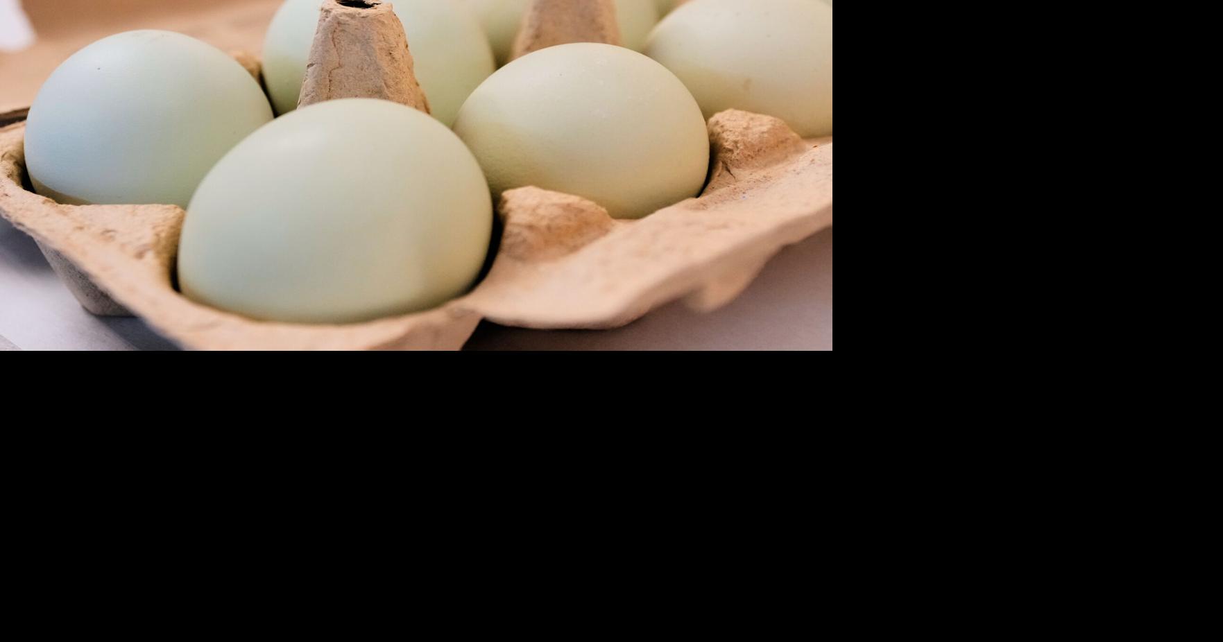 Salmonella outbreak tied to eggs has sickened 98 people since November