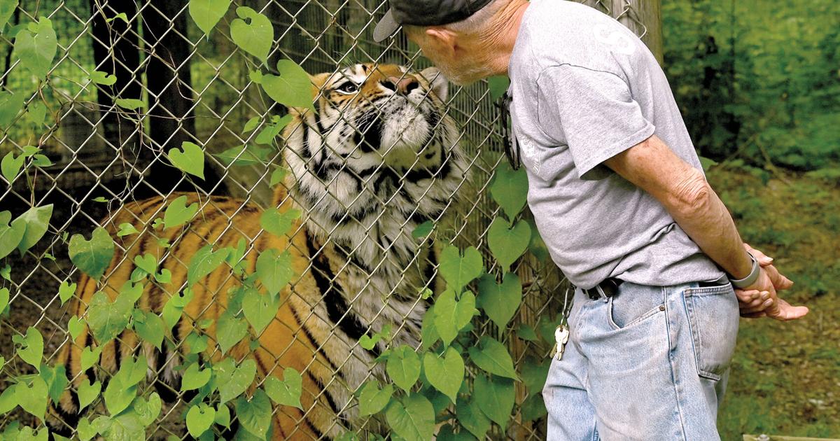 An exotic sanctuary: Feline Rescue Center offers unique, educational ...