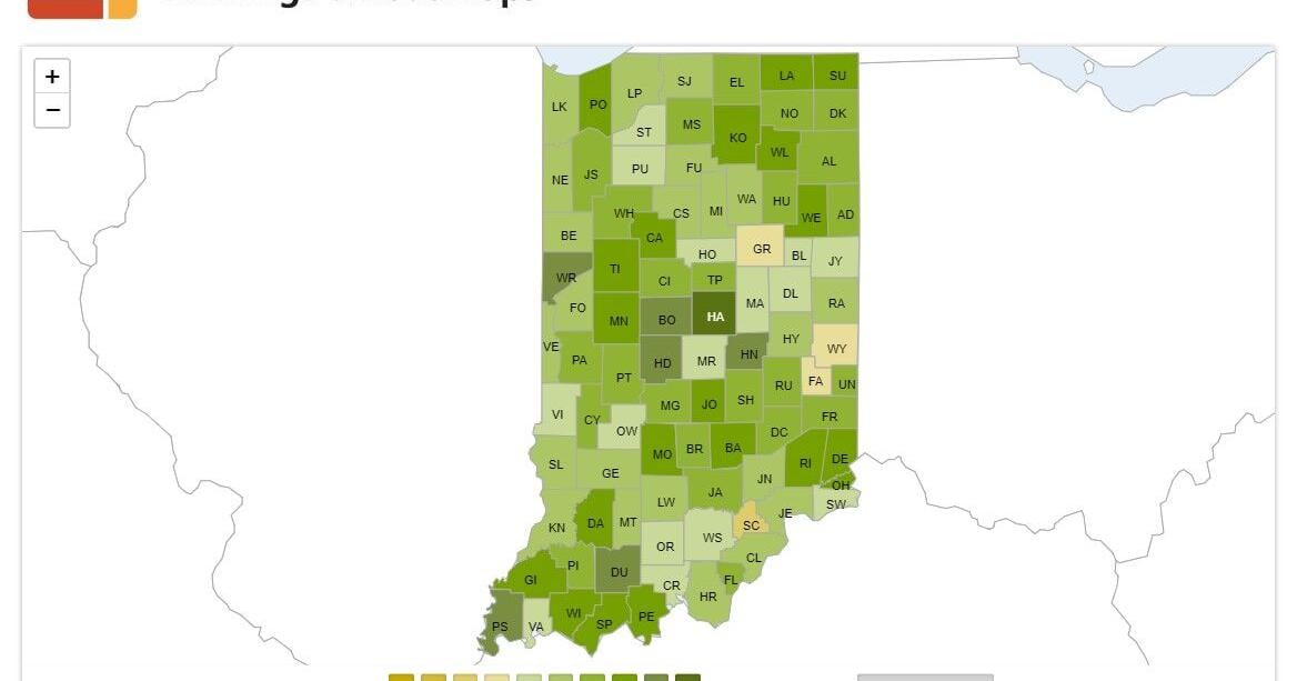 Mark Bennett: OK, Vigo County's still too unhealthy, but we're social - Vimarsana News