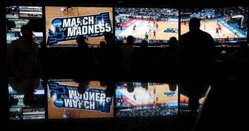 Education key for colleges to prevent sports gambling problems, expert says